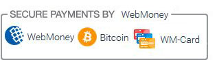webmoney accepts - Buy VPN with Bitcoin, PayPal, Credit Card, Web money, WM Card